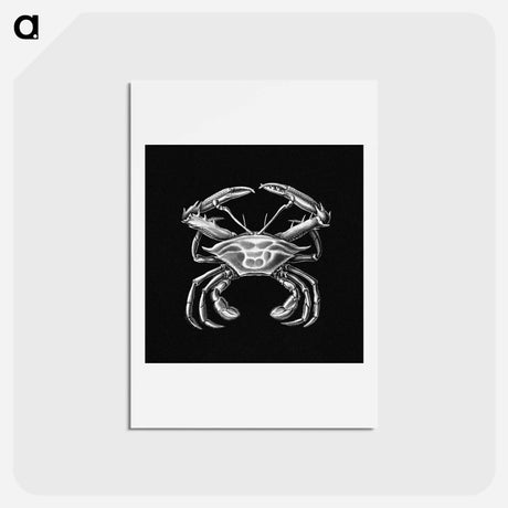 アートポストカード-Vintage crab marine life illustration - エルンスト ヘッケル Postcard.