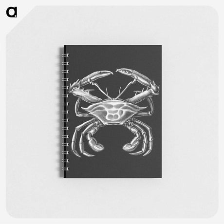 3-19_Ernst-Haeckel_memo
