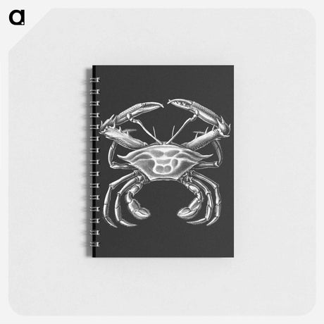 アートメモ帳-Vintage crab marine life illustration - エルンスト ヘッケル Memo.