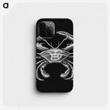 3-19_Ernst-Haeckel_phone