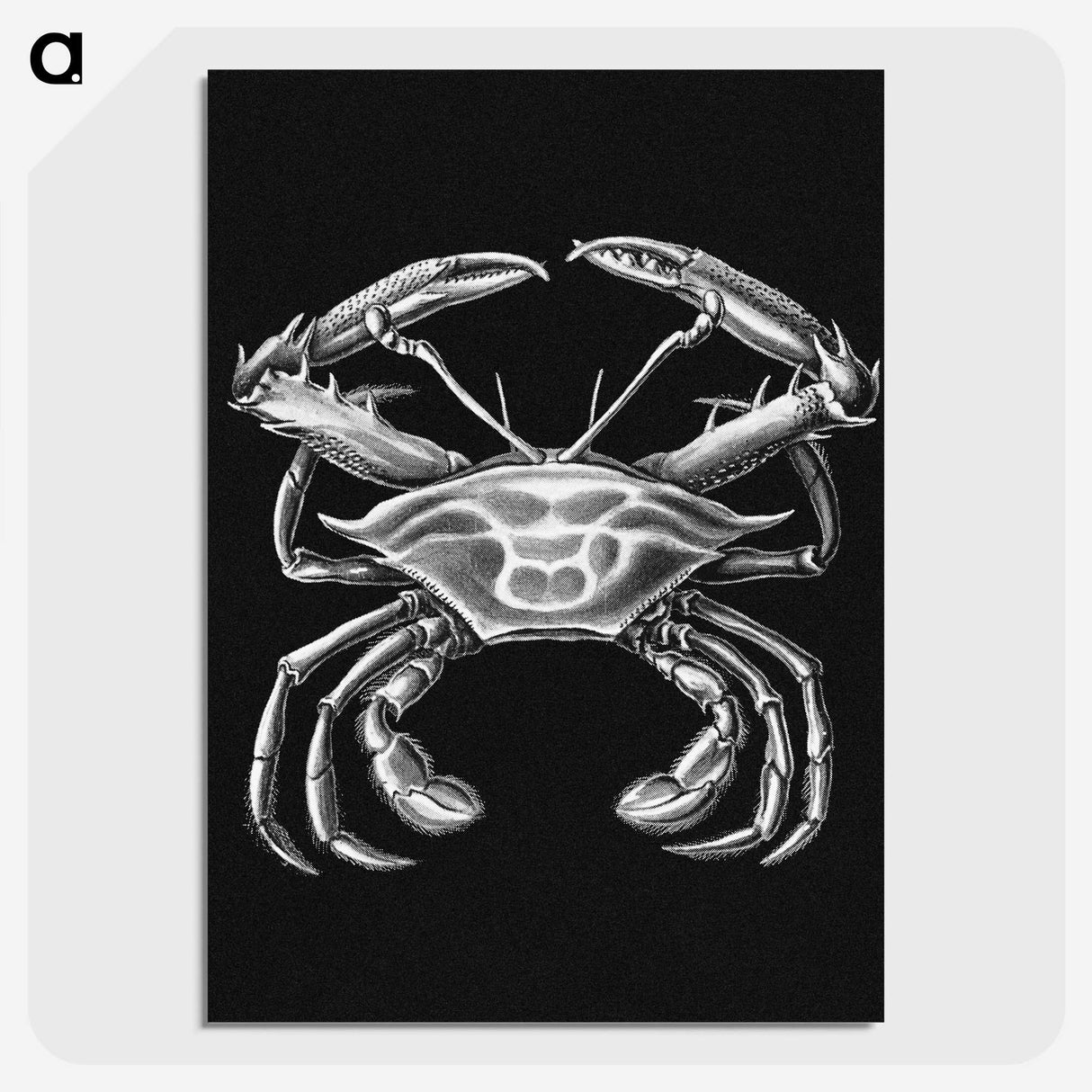 3-19_Ernst-Haeckel_picture-crop