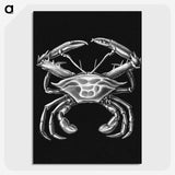 3-19_Ernst-Haeckel_picture-crop