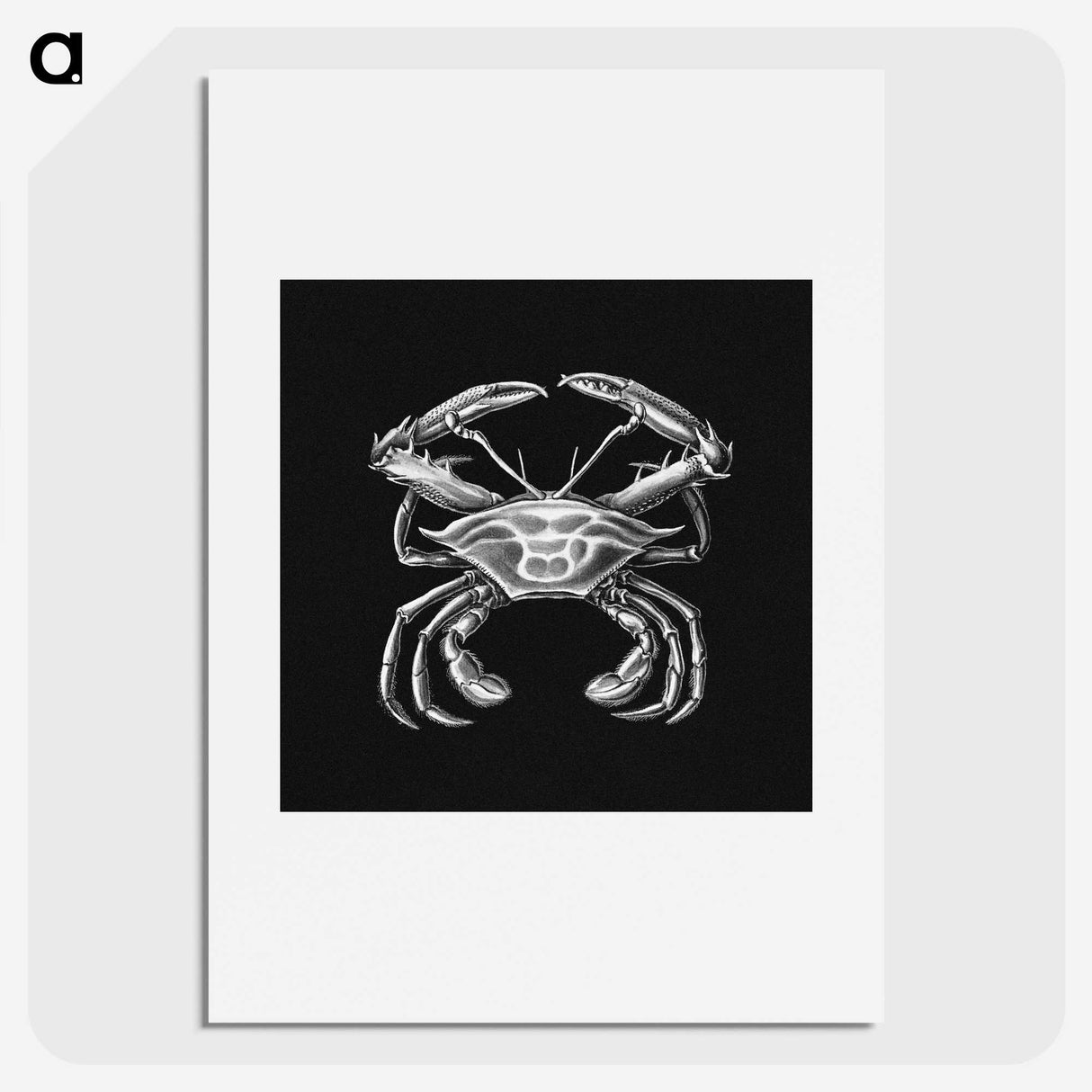 3-19_Ernst-Haeckel_picture