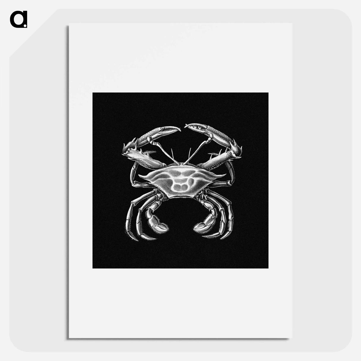 Vintage crab marine life illustration - エルンスト ヘッケル Poster.