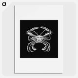 Vintage crab marine life illustration - エルンスト ヘッケル Poster.