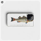 3-19_Ichtyologie-ou-Histoire-naturelle_phone