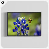 3-19_Insects-Unlocked-Project_blk-crop