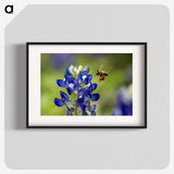 3-19_Insects-Unlocked-Project_blk