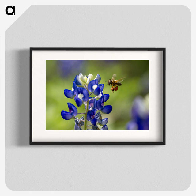 3-19_Insects-Unlocked-Project_blk