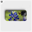 3-19_Insects-Unlocked-Project_phone