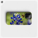 3-19_Insects-Unlocked-Project_phone