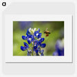 3-19_Insects-Unlocked-Project_picture