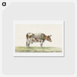 アートポストカード-Standing cow with blanket - ジャン ベルナール Postcard.