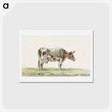 アートポストカード-Standing cow with blanket - ジャン ベルナール Postcard.