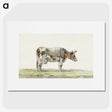 3-19_Jean-Bernard_picture
