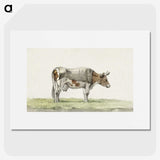 3-19_Jean-Bernard_picture