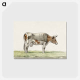 アートポストカード-Standing cow with blanket - ジャン ベルナール Postcard.