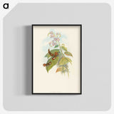3-19_John-Gould_blk-crop