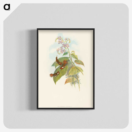 3-19_John-Gould_blk-crop