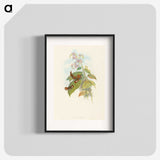 3-19_John-Gould_blk