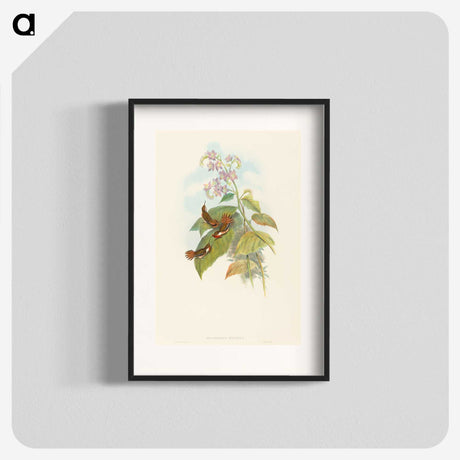 3-19_John-Gould_blk