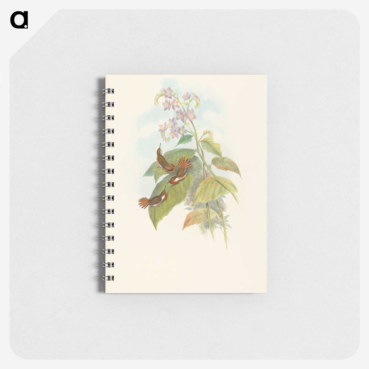 3-19_John-Gould_memo