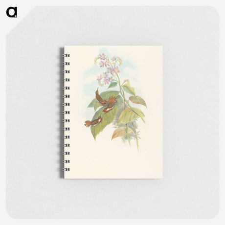 3-19_John-Gould_memo
