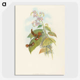 3-19_John-Gould_picture-crop