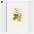 3-19_John-Gould_picture