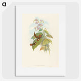 3-19_John-Gould_picture