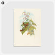 3-19_John-Gould_postcard