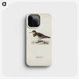 3-19_Magnus-von-Wright_phone