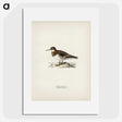 3-19_Magnus-von-Wright_picture