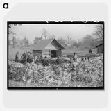 3-19_Marion-Post-Wolcott_picture-crop