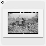 3-19_Marion-Post-Wolcott_picture