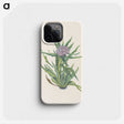 3-19_Mary-Vaux-Walcott_phone