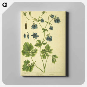 アートパネル-Aquilegia
 - 国立医学図書館 Canvas.