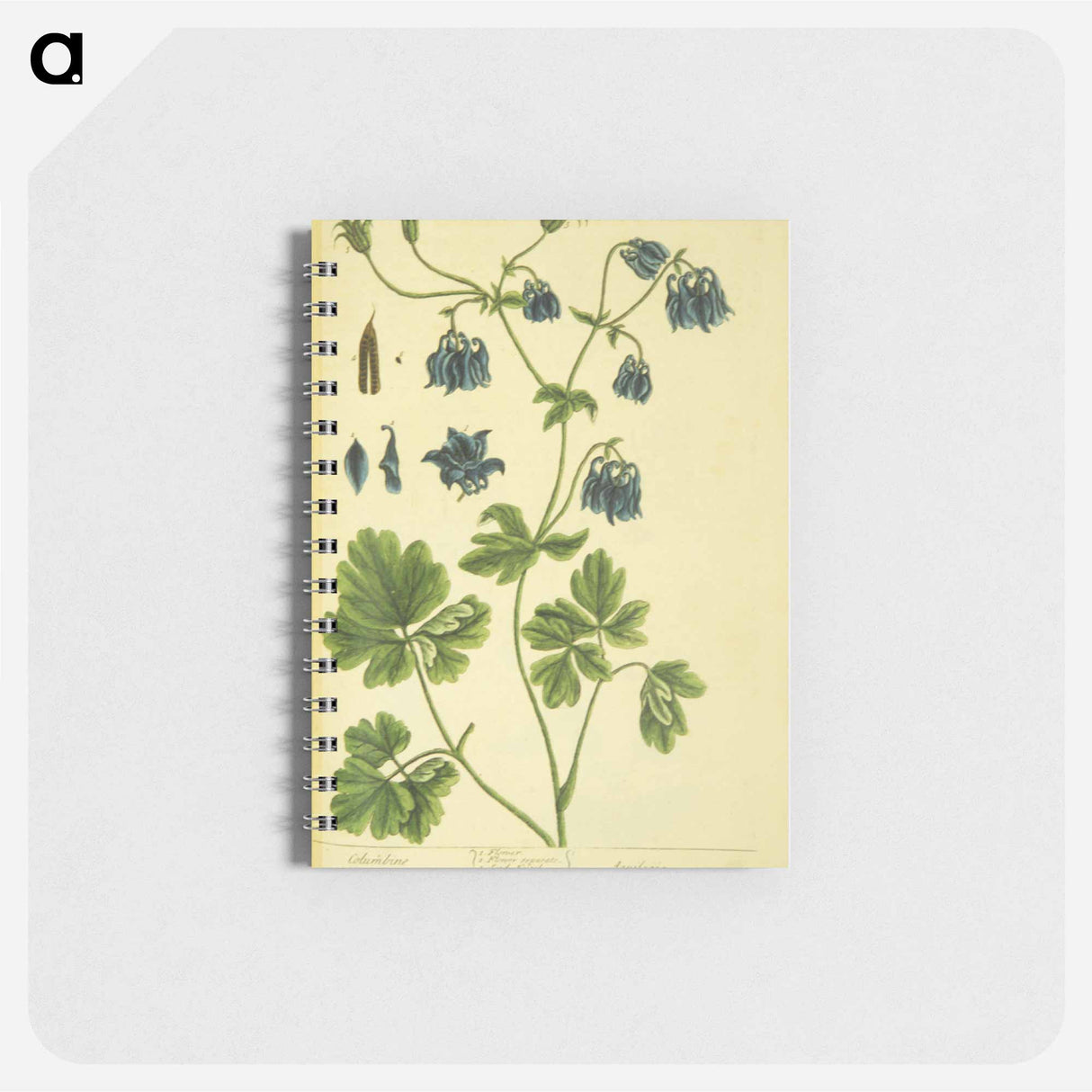 アートメモ帳-Aquilegia
 - 国立医学図書館 Memo.