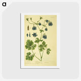 3-19_National-Library-of-Medicine_hagaki
