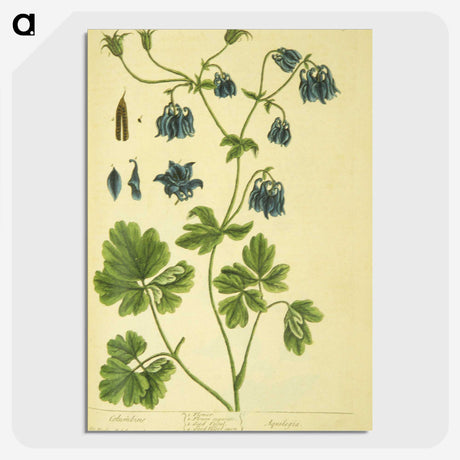 3-19_National-Library-of-Medicine_picture-crop