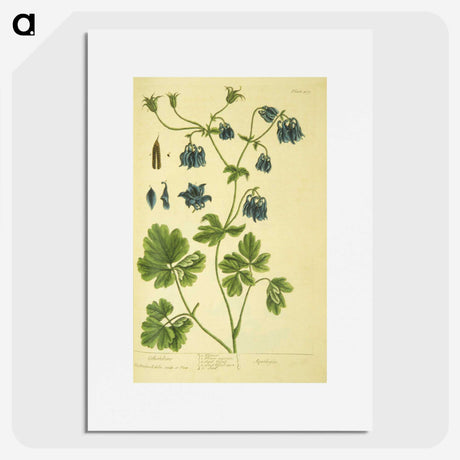3-19_National-Library-of-Medicine_picture