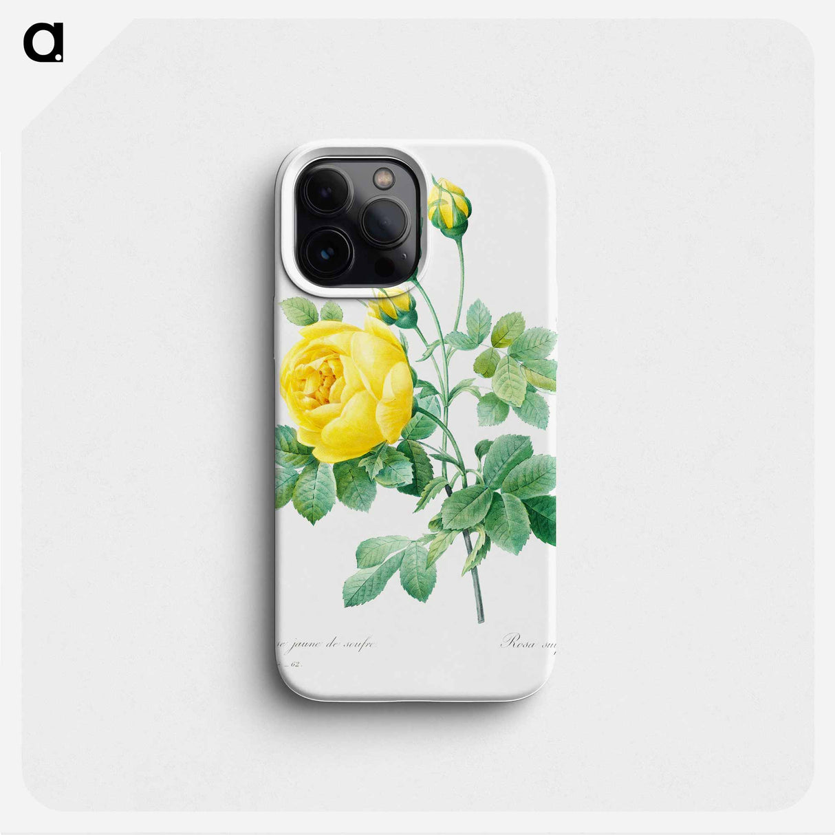 Yellow rose - Pierre Joseph Redouté Phone Case.