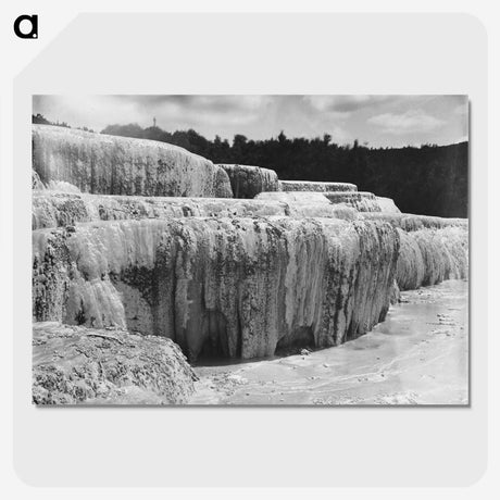 3-19_The-Burton-Brothers_picture-crop