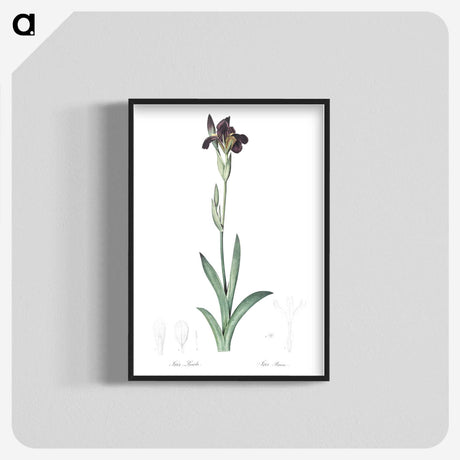 3-19_The-Lilies_blk-crop