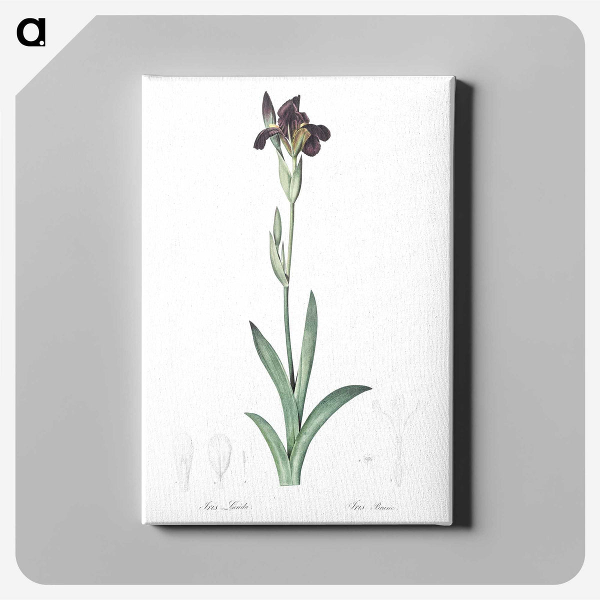 3-19_The-Lilies_canvas