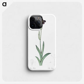 3-19_The-Lilies_phone