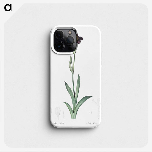 3-19_The-Lilies_phone
