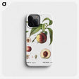 3-19_Treatise-on-Trees-and-Shrubs_phone