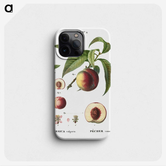 3-19_Treatise-on-Trees-and-Shrubs_phone