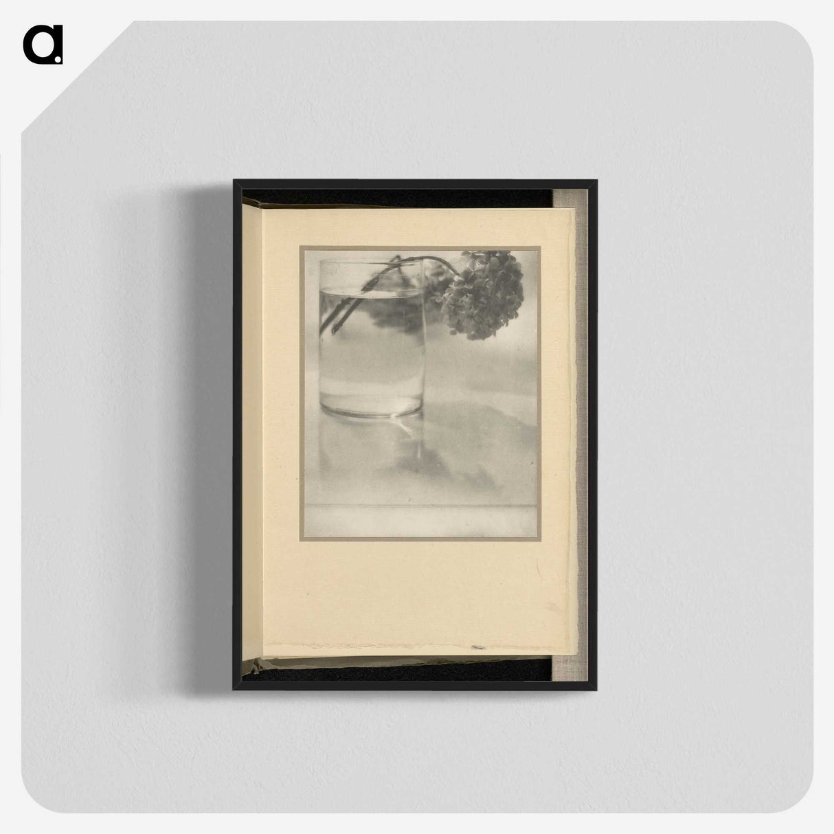 3-1_Alfred-Stieglitz_blk-crop